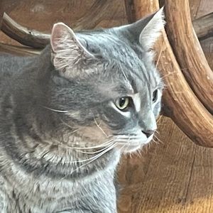 Meet your Posher, Tamara